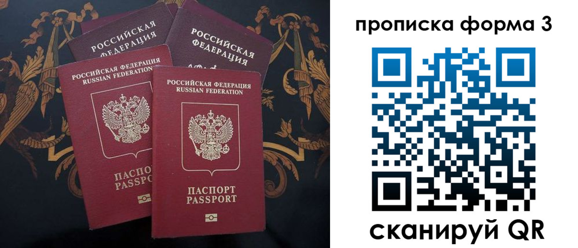 прописка законно в Светлогорске