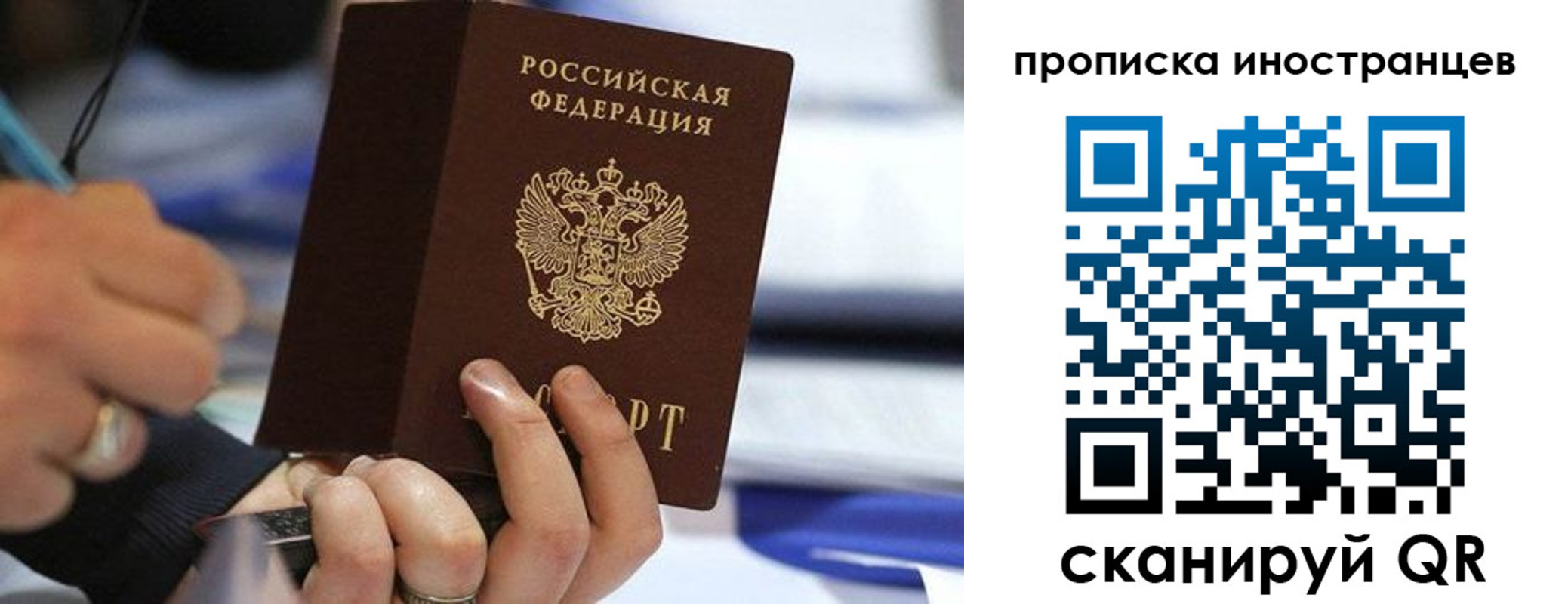 прописка для работы в Светлогорске