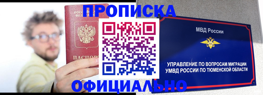 прописка поиск в Светлогорске